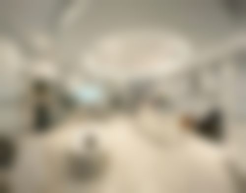 上海德琳医疗美容医院（韩国Dream分院）尹玉娟医生擅长项目
