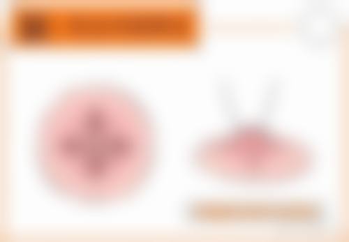 驻马店颜咖医疗美容门诊部擅长项目。