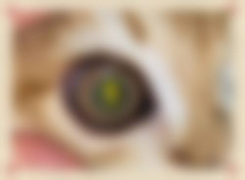 达川区人民医院眼科门诊营业时间。