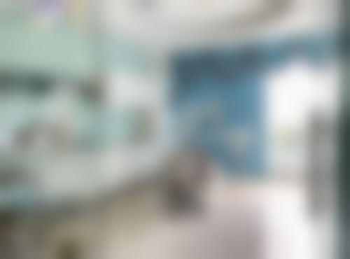 海口龙华唯笑齿科口腔门诊部擅长项目