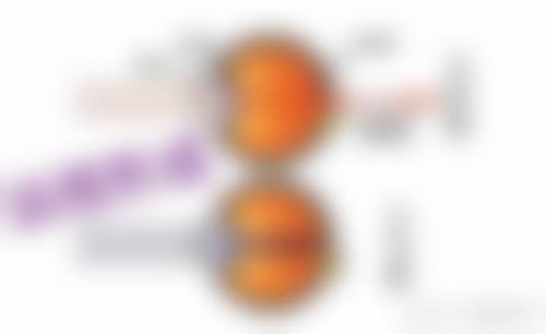 南京麦迪格眼科诊所医生团队经验稳定。