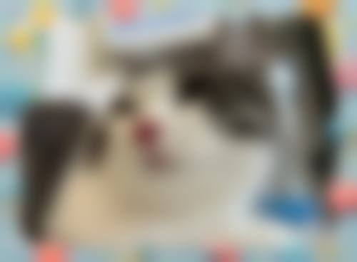 丹东市第一医院眼科预约挂号方式。