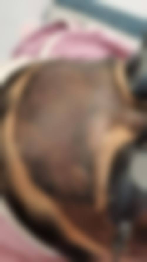 玉溪医可颜整形医院预约挂号方式。