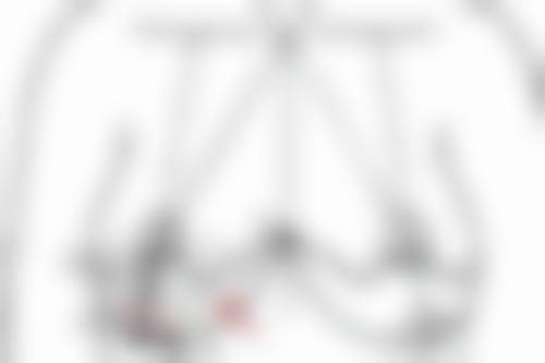 北京贝拉国内外整形医疗美容中 心擅长项目。