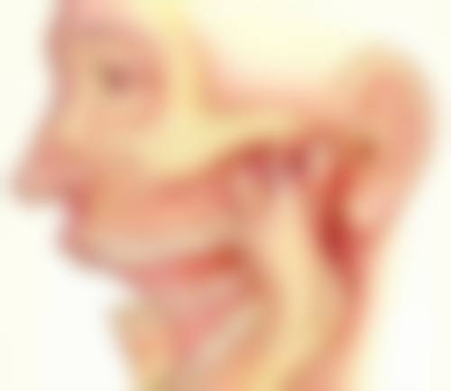 江苏南京伟登口腔伟登口腔预约挂号方式。