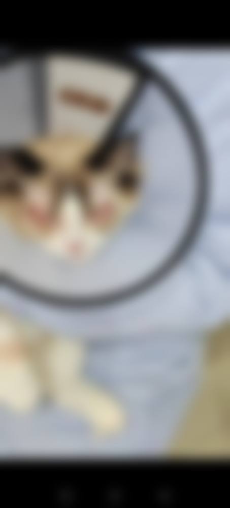 南方医 科 大学中医和西医结合医院眼科预约挂号方式。