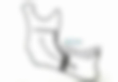 王龙飞医生擅长项目