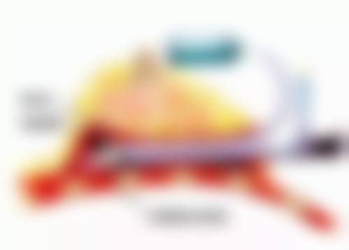 日本南云乳房医疗中 心门诊营业时间。