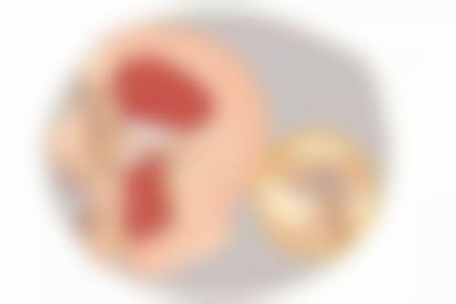 淄博博润口腔预约挂号方式。