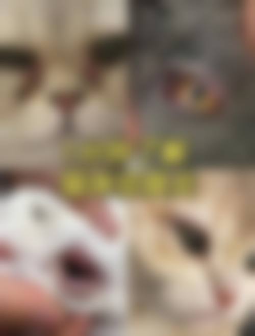 张家界市中医医院眼科门诊营业时间。