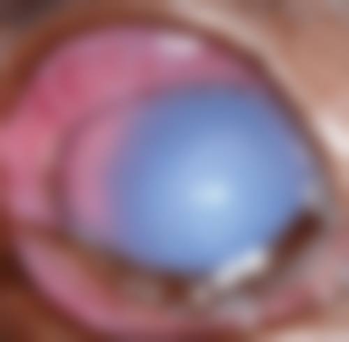 辽宁抚顺海睿眼视光有限公司门诊营业时间。