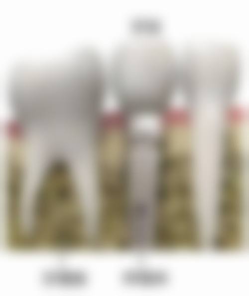 惠州致美口腔医院口碑评价