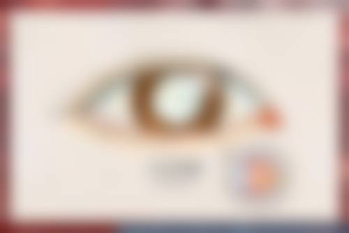 南方医 科 大学中医和西医结合医院眼科乘车路线