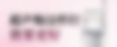 擅长项目详解