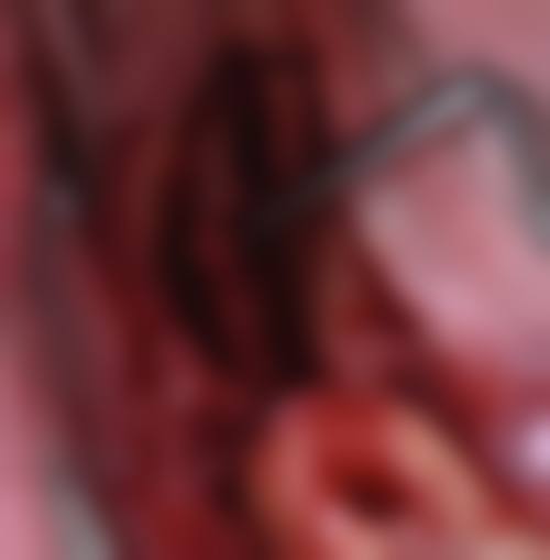 漳州德益口腔(矫正·种植·治疗中 心)地理位置便于到院。