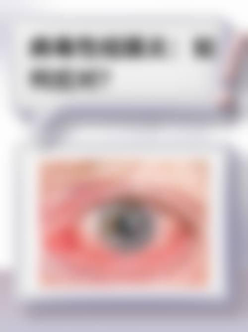 服务流程与保护：全周期贴心呵护