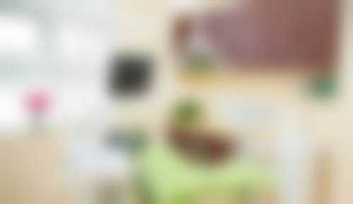擅长项目详解