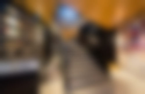 长沙开福笙泽医疗美容诊所的项目价格