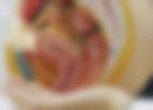 郑州爱美忻医疗美容门诊部杨国解医生擅长项目