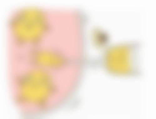 漯河苏美尔整形医院基本信息