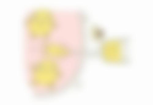 北京星源医疗美容医院马兰花医生收费价格