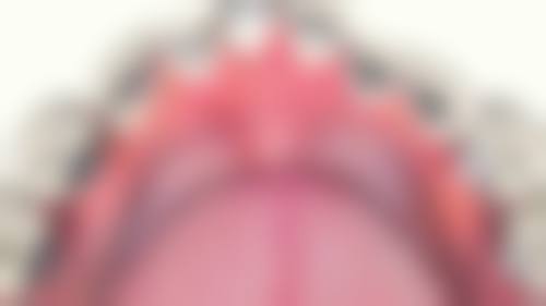 预约优惠活动