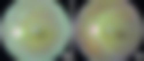 FAQ:常见问题解答