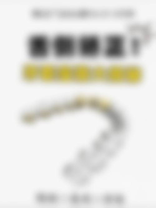 擅长项目详解
