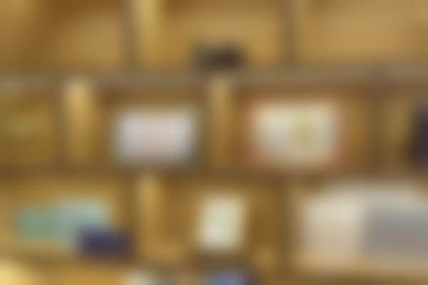 特色项目与个性化方案:满足您的多元需求
