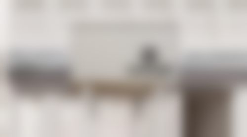 擅长项目详解