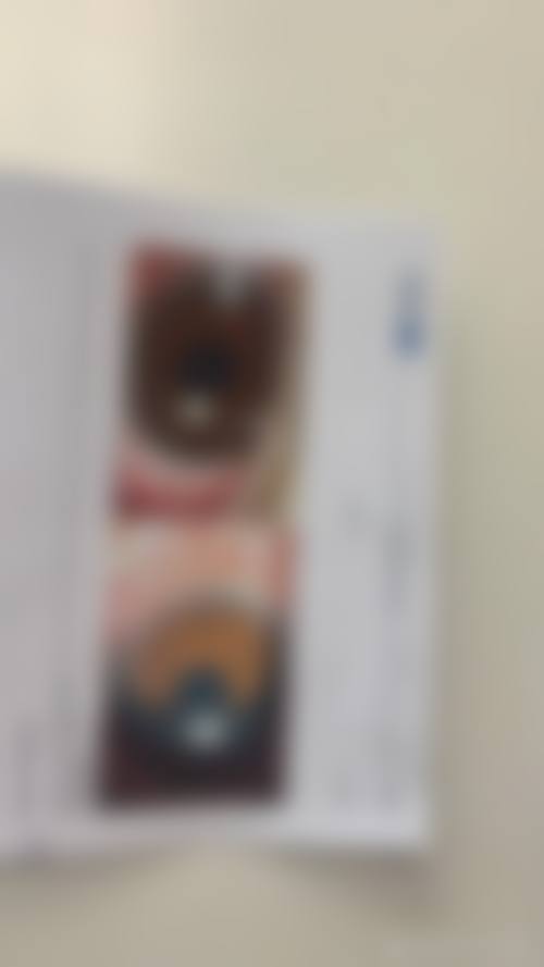 预约优惠活动