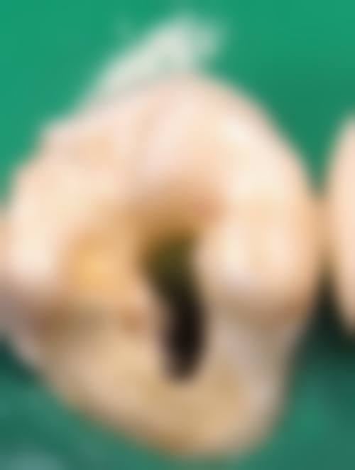 预约优惠活动