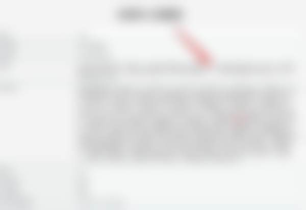 擅长项目详解